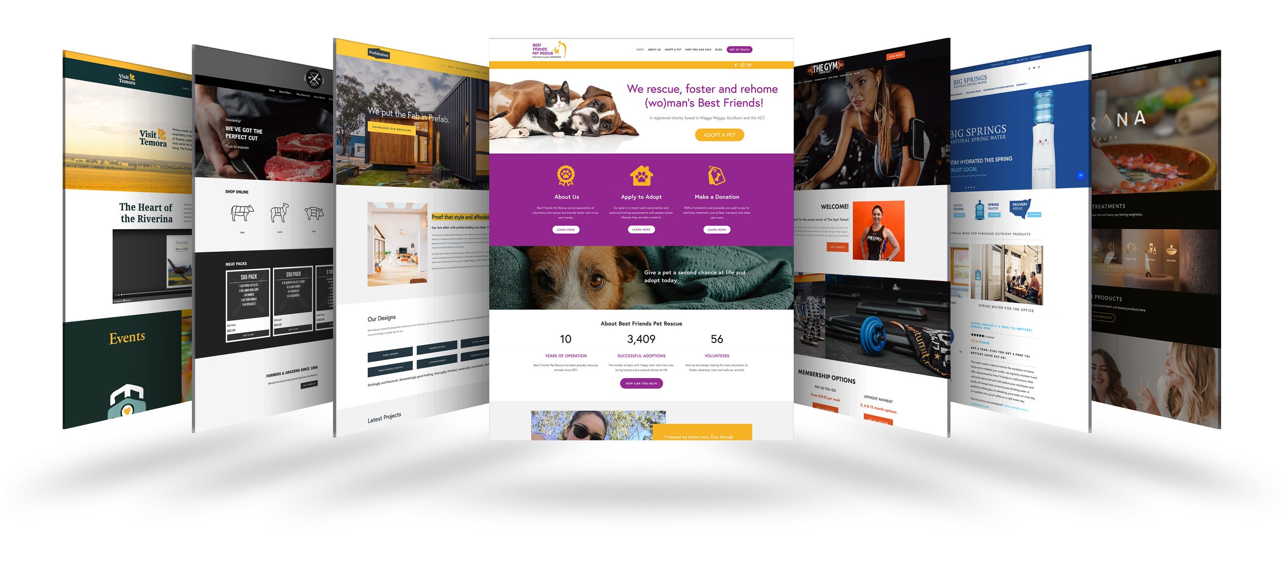 Website Design and Hosting